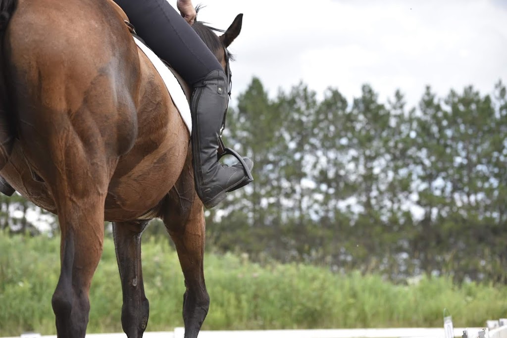 Canyon Creek Farm | 297 Barron Canyon Rd, Pembroke, ON K8A 6W7, Canada | Phone: (613) 312-7197
