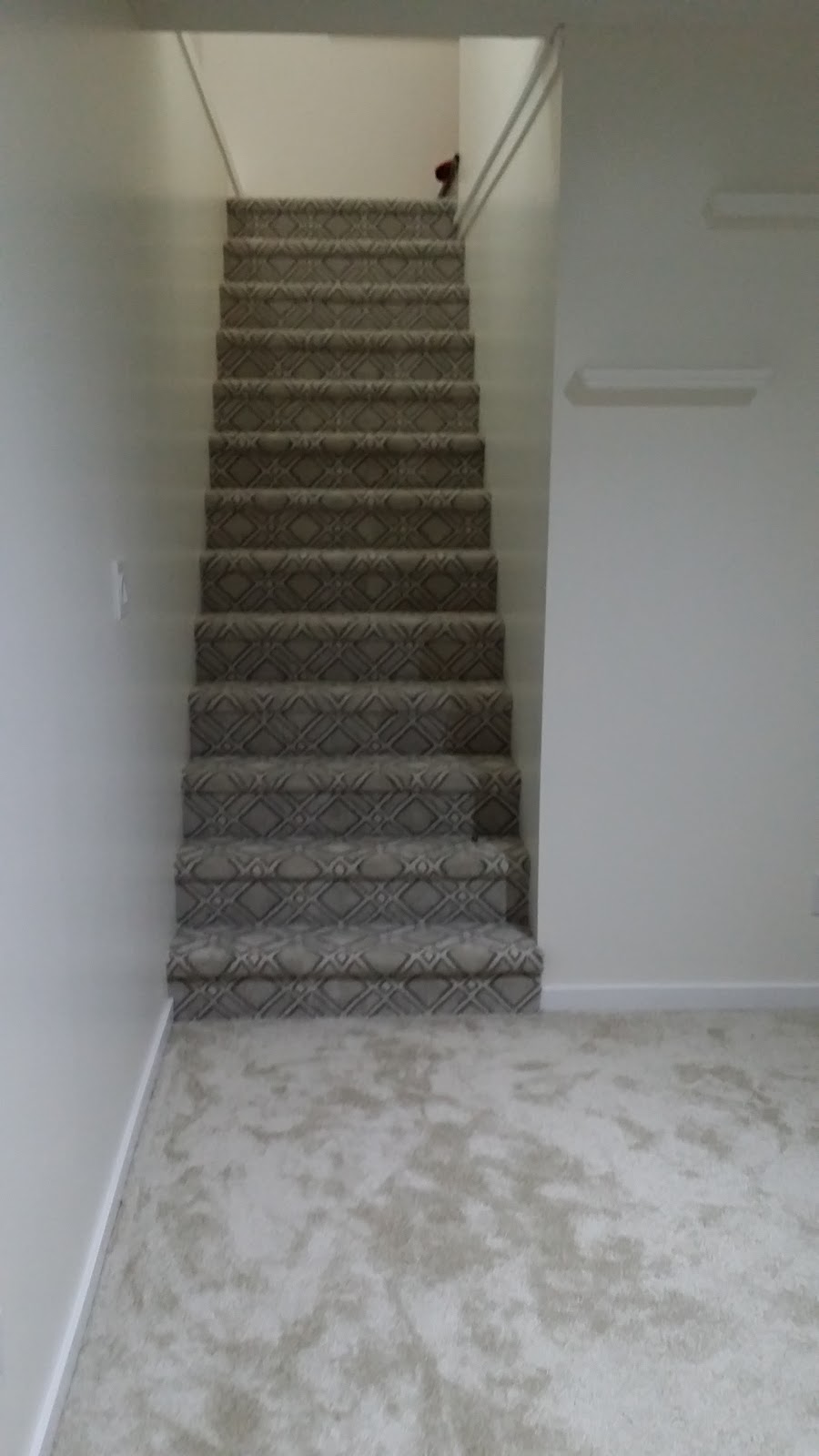 Westshore Green Clean Janitorial | 3173 Kettle Creek Cres, Victoria, BC V9B 0K6, Canada | Phone: (250) 590-4741