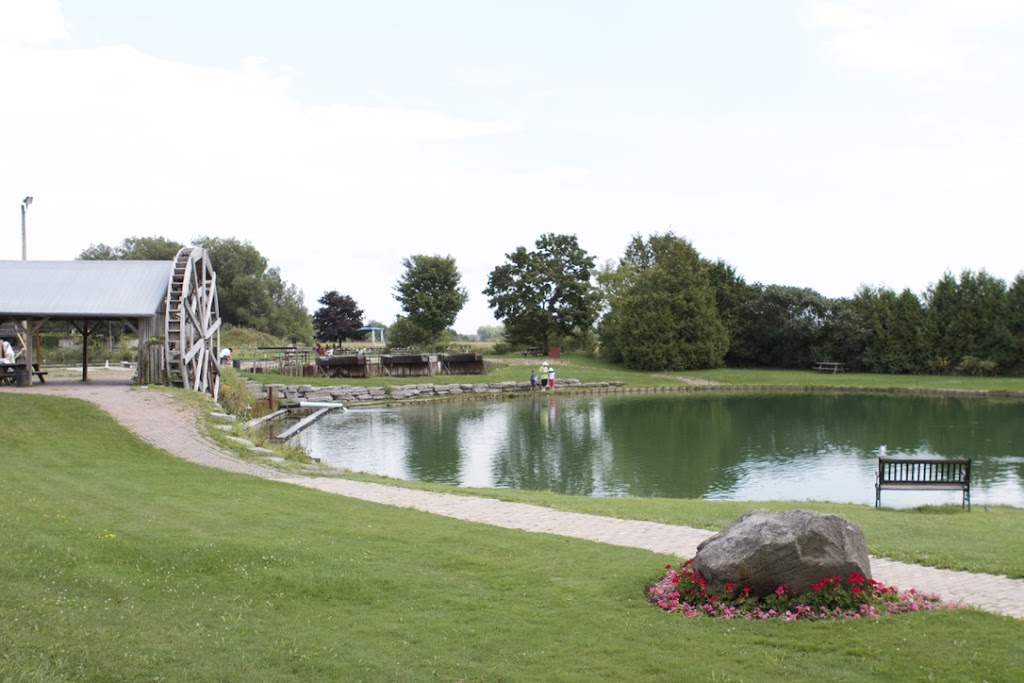 Burds Family Fishing | 13077 ON-48, Whitchurch-Stouffville, ON L4A 3B1, Canada | Phone: (905) 640-2928