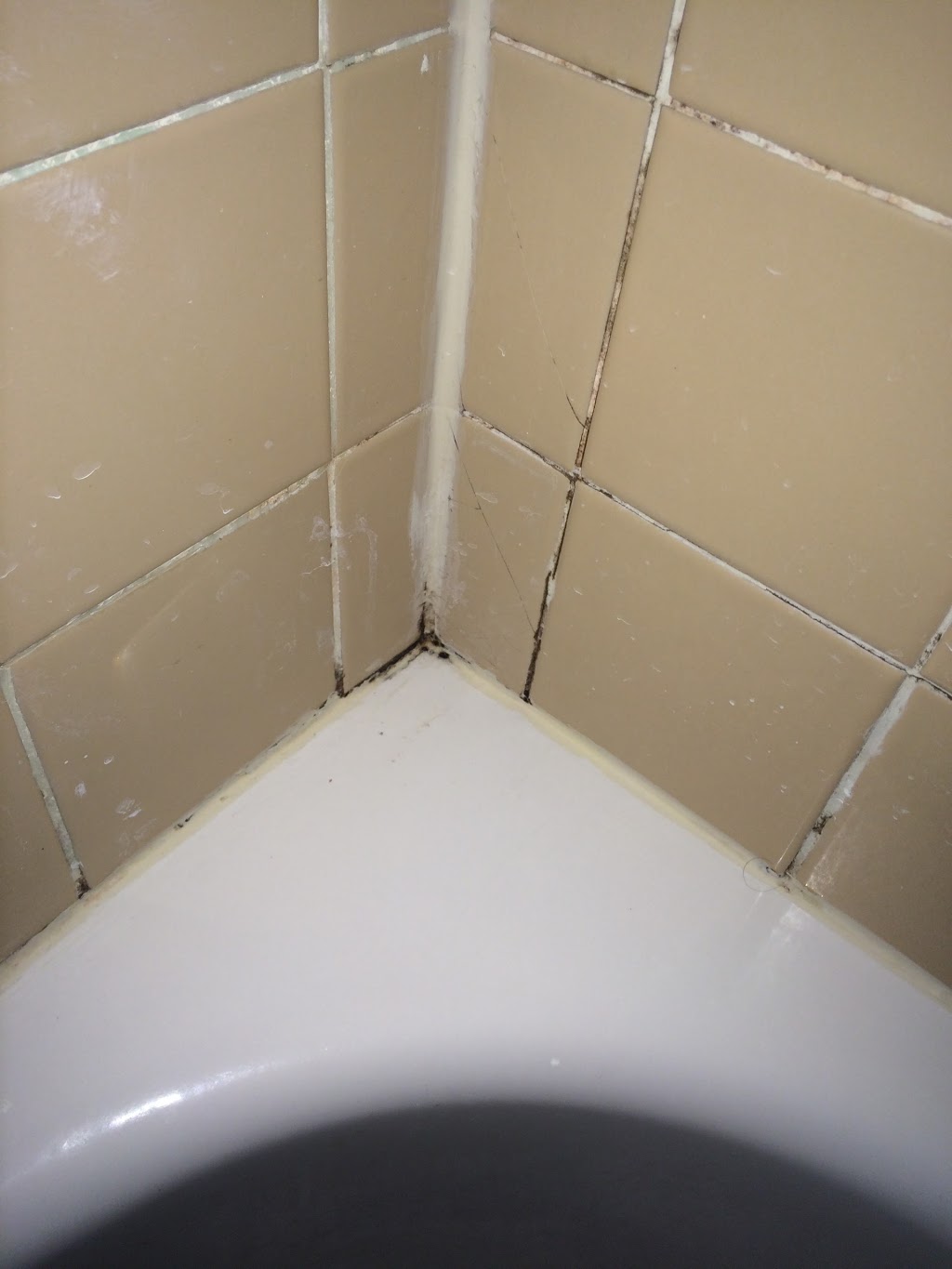 Oasis Motel | 5107 Centre St, Niagara Falls, ON L2G 3P1, Canada | Phone: (416) 907-0994