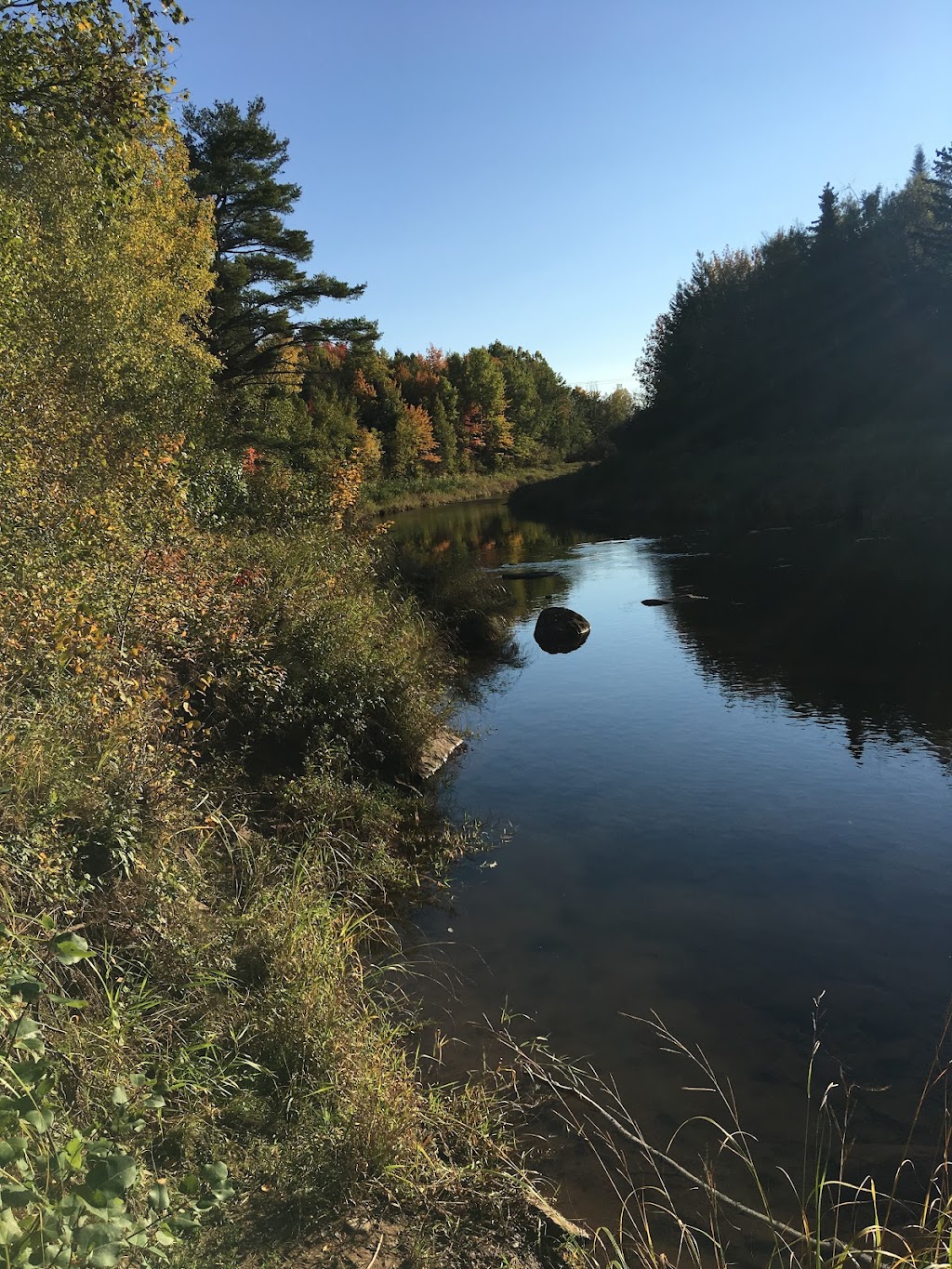 Blossom Grove | 215 Synton Rd, Colpitts Settlement, NB E4J 2Y4, Canada | Phone: (506) 871-5421