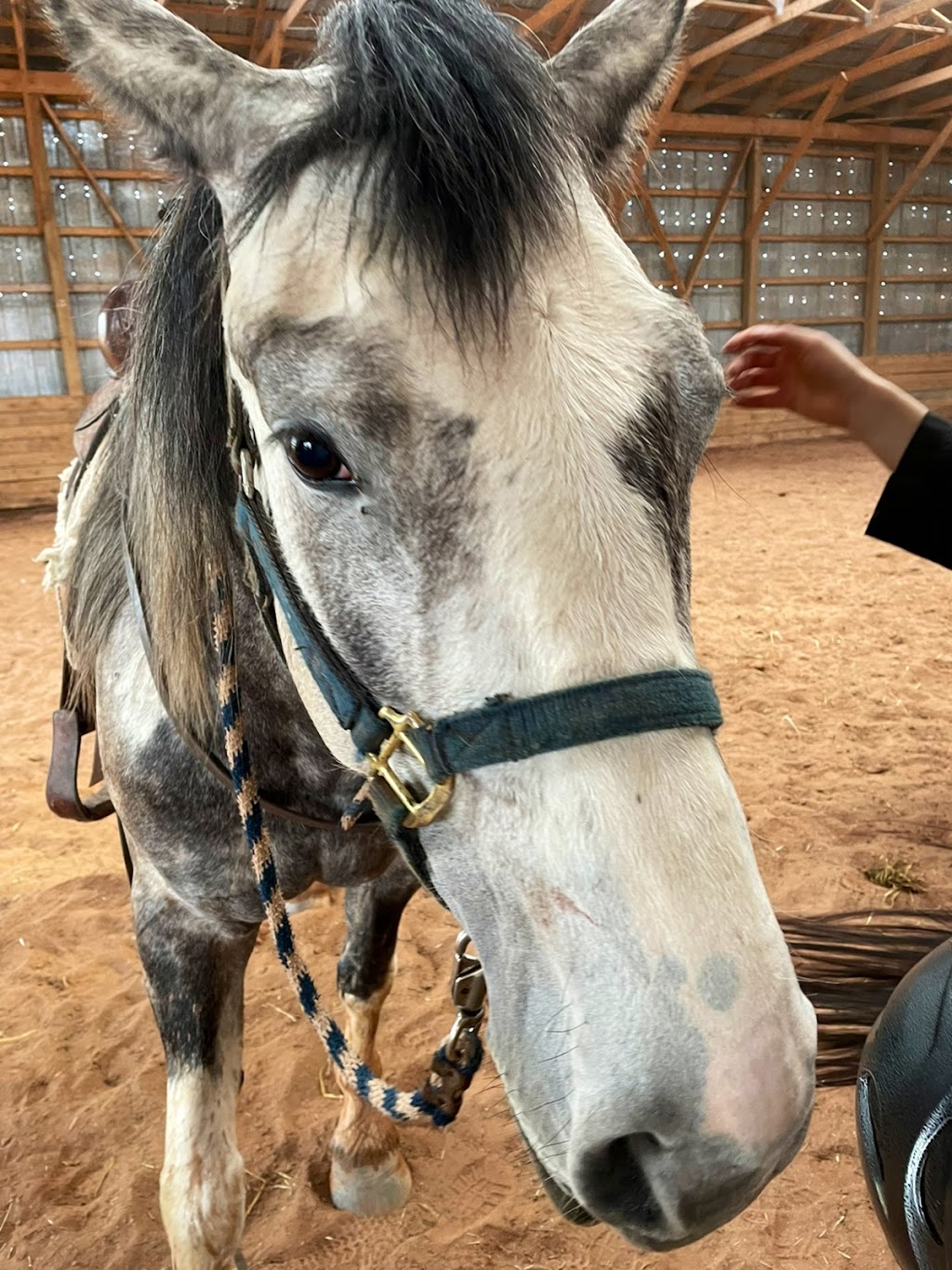 PPH Farms | 260 Maceachern Rd, Mount Herbert, PE C1B 3P7, Canada | Phone: (902) 628-7959