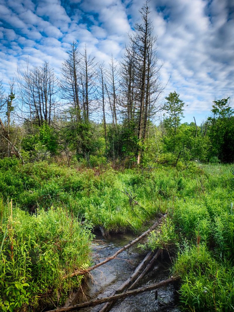 Harper Park | 632 Harper Rd, Peterborough, ON K9J 6X6, Canada | Phone: (705) 991-0422