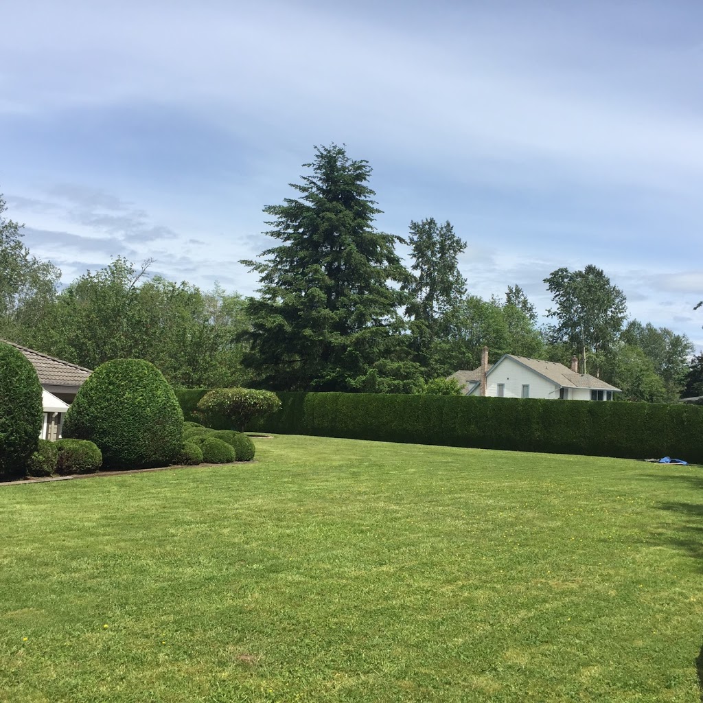 Greenyard Gardening Svc | 15055 94 Ave, Surrey, BC V3R 7L9, Canada | Phone: (604) 582-9513