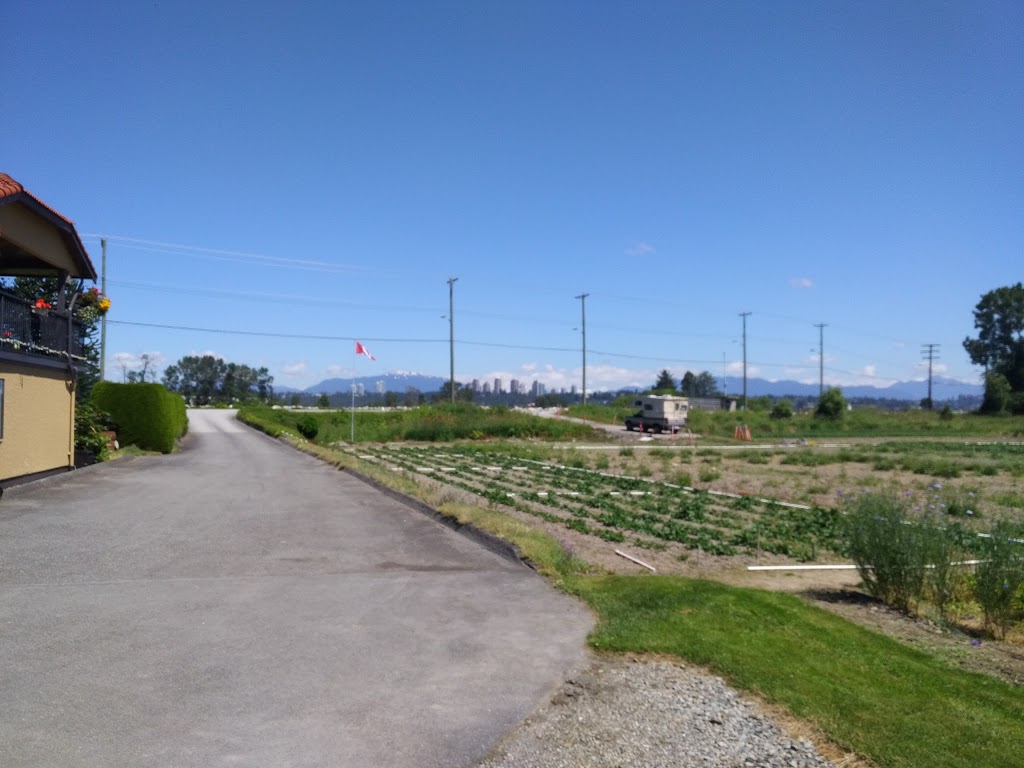 Bridgeview Developments | 23200 Gilley Rd, Richmond, BC V6V 2L6, Canada | Phone: (604) 524-8211