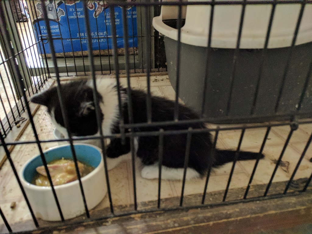 The Pet Stop | 600 Doon Village Rd, Kitchener, ON N2P 1G6, Canada | Phone: (519) 748-2333