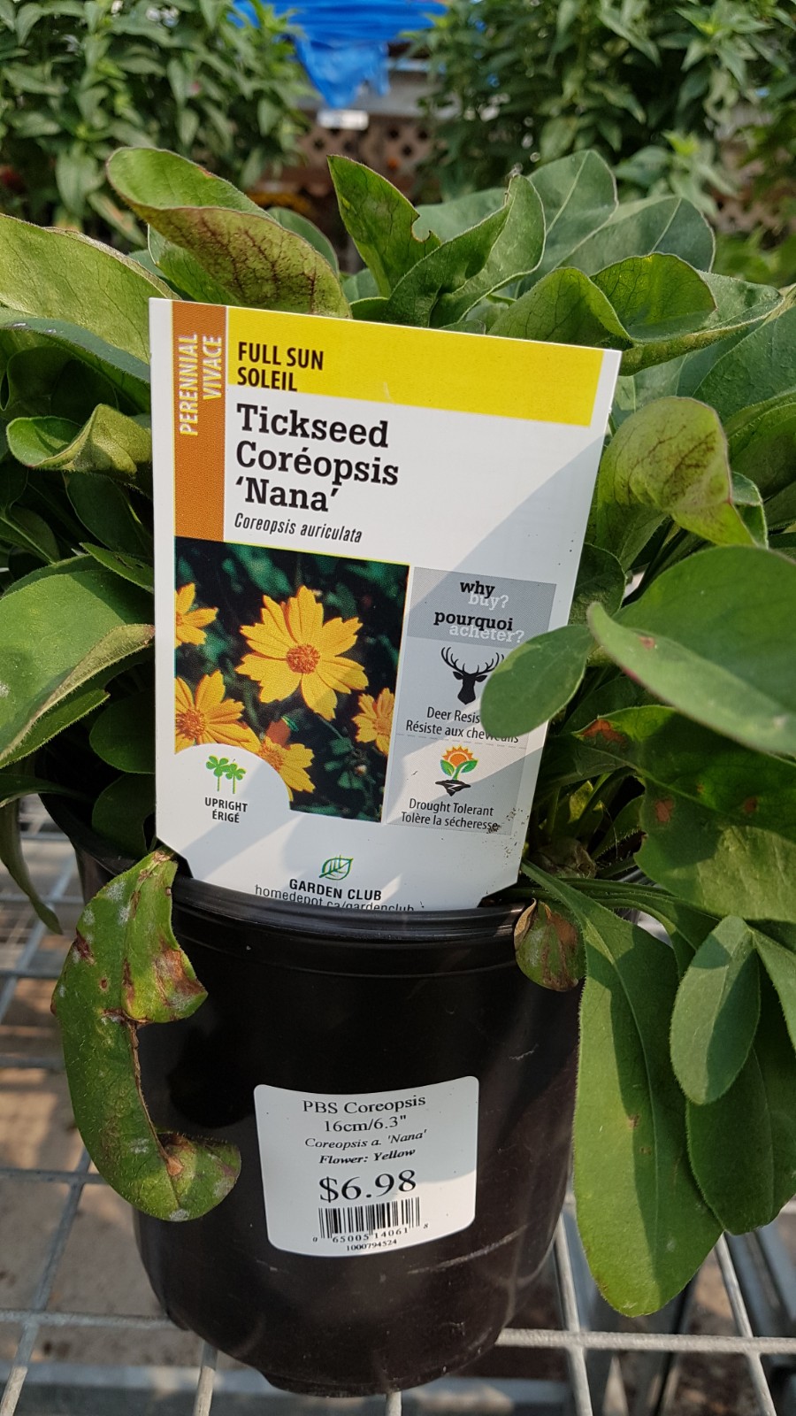 The Home Depot Garden Center | 1590 Regent Ave W, Winnipeg, MB R2C 4H4, Canada