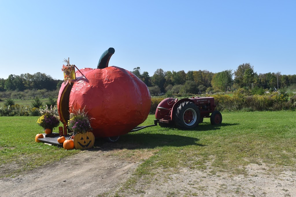 Vails Orchards | 205654 ON-26, Meaford, ON N4L 1C5, Canada | Phone: (519) 538-4928