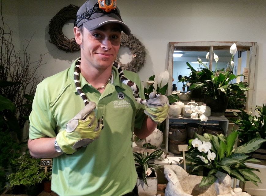Skedaddle Humane Wildlife Control | 1645 Finfar Ct, Mississauga, ON L5J 4K1, Canada | Phone: (877) 222-9453