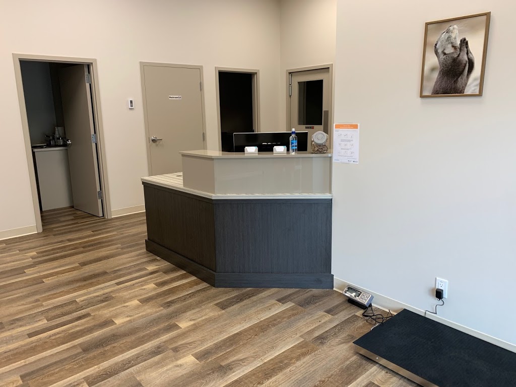 Lake Bonavista Animal Clinic | 755 Lake Bonavista Dr SE #159, Calgary, AB T2J 0N3, Canada | Phone: (403) 570-1870