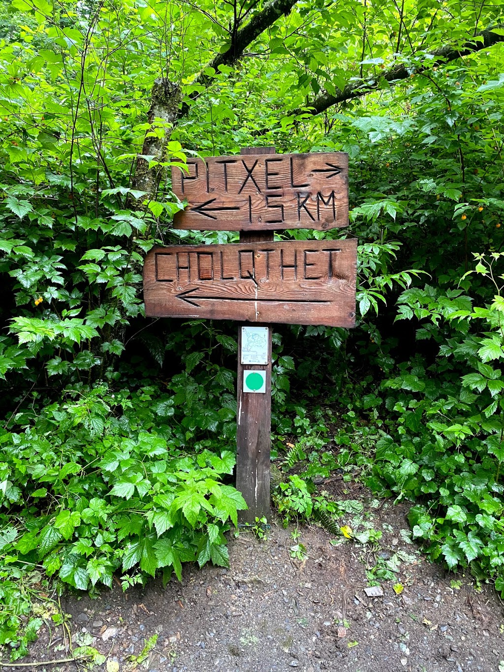 Chilliwack Community Forest | 51642 Allan Rd, Chilliwack, BC V4Z 1L2, Canada | Phone: (604) 793-2904