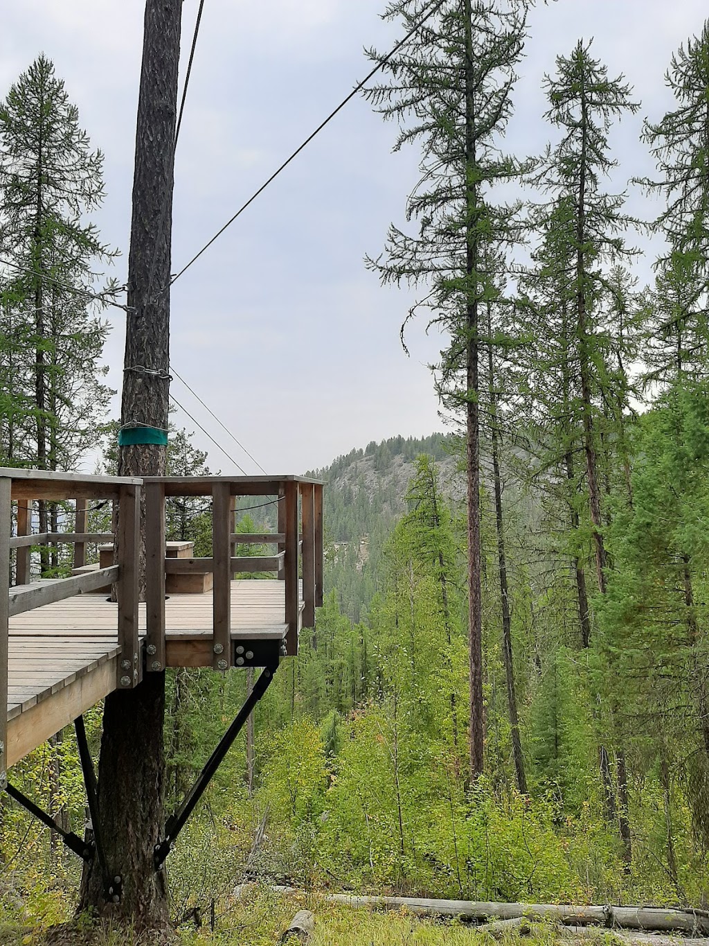 Mineral Mountain Ziplines | 5229 Fairmont Resort Rd, Fairmont Hot Springs, BC V0B 1L1, Canada | Phone: (844) 888-6695