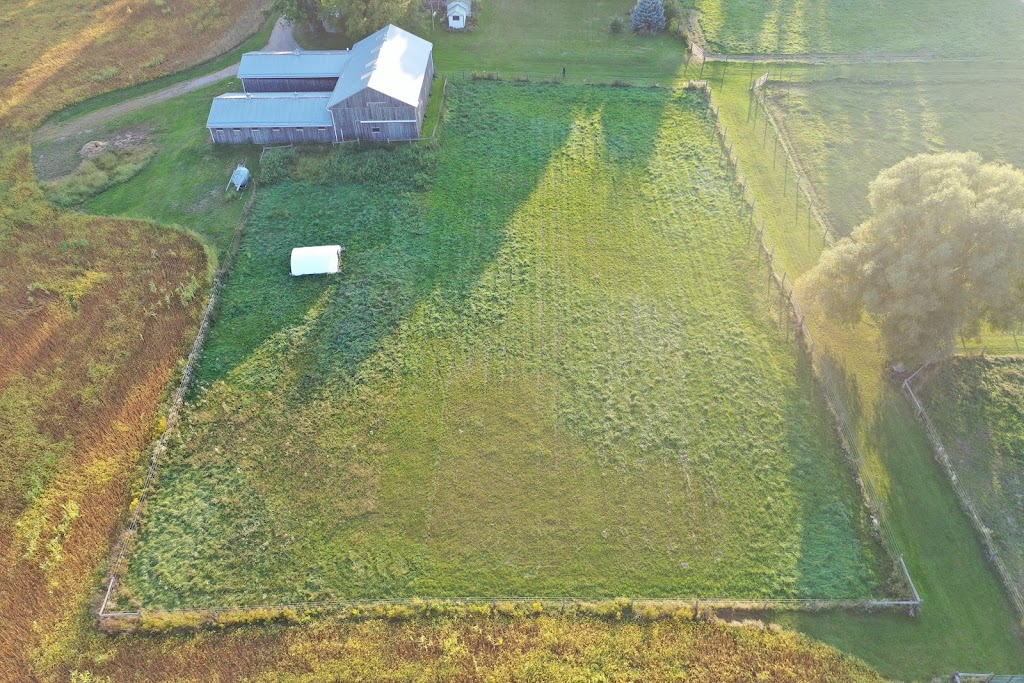 WindRose Farm | 516134 11 Line, Tavistock, ON N0B 2R0, Canada | Phone: (519) 533-7556