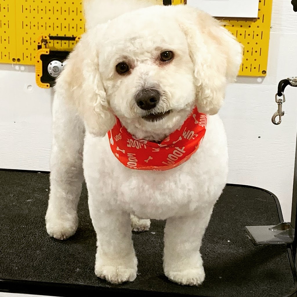 Country Fields Grooming Studio | 1733 Simcoe County Rd 27, Schomberg, ON L0G 1T0, Canada | Phone: (289) 970-0770