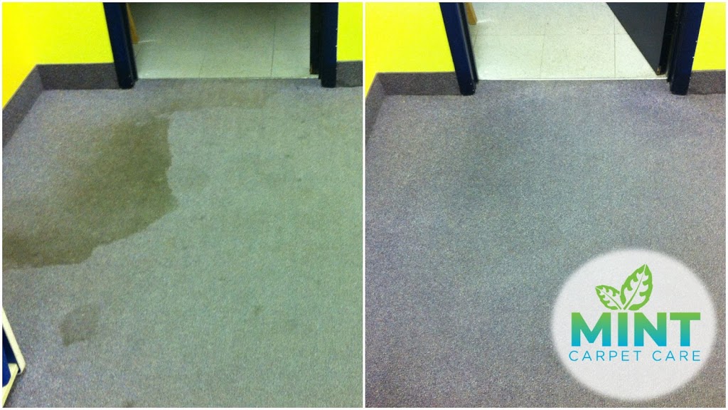 Mint Carpet Care | 317 Park Lawn Rd #28, Etobicoke, ON M8Y 3K2, Canada | Phone: (416) 828-3804