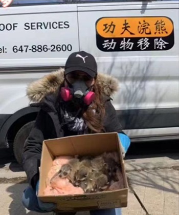 功夫浣熊 | Kennedy Rd, Markham, ON L3R 0N8, Canada | Phone: (647) 886-2600