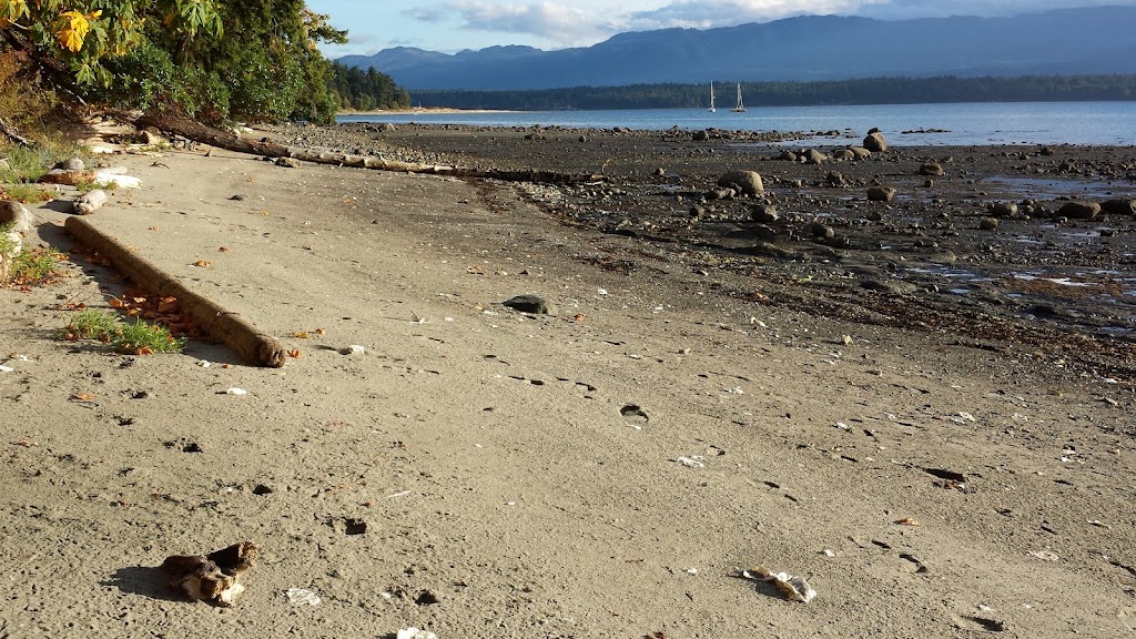 KEMA House & Cabin on Hornby Island | 3200 Shingle Spit Rd, Hornby Island, BC V0R 1Z0, Canada | Phone: (604) 764-6411