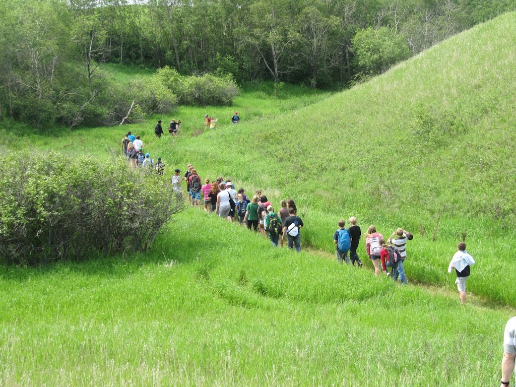 Ravine Adventures | Tower road, Abernethy, SK S0A 0A0, Canada | Phone: (306) 333-2029