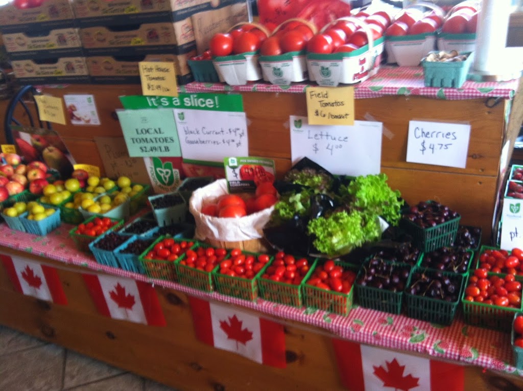 Nutrition Bites Consulting | 346 Blackacres Blvd, London, ON N6G 3C9, Canada | Phone: (226) 377-2223