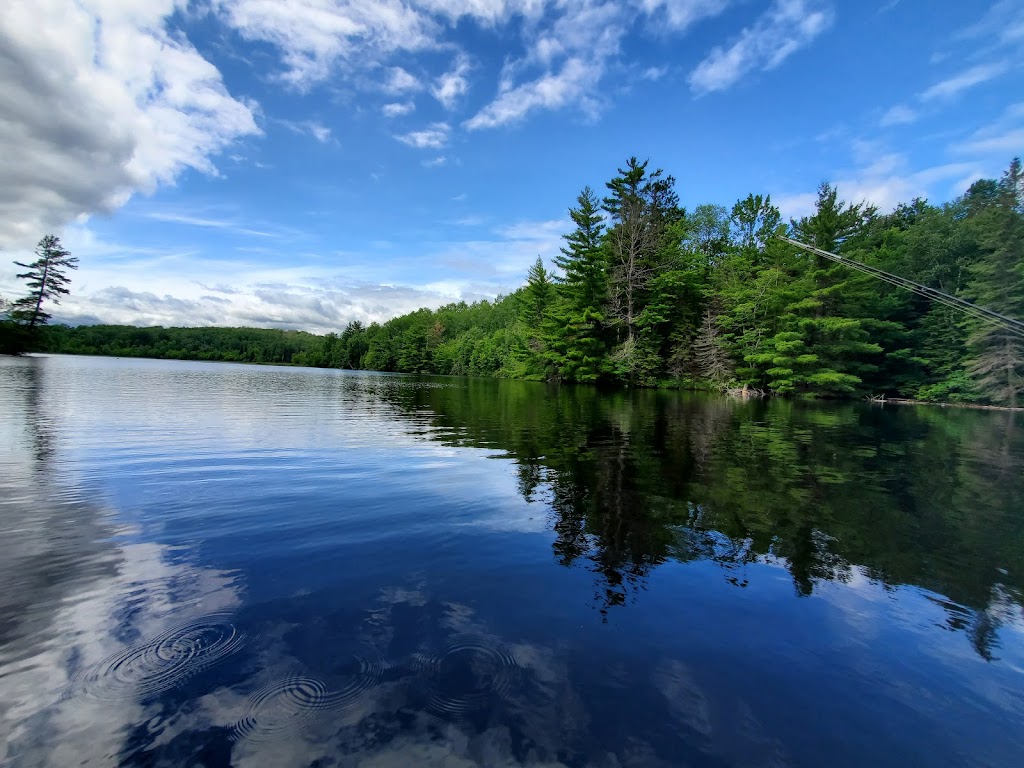 Riverland Lodge & Camp | 25141 ON-60, Madawaska, ON K0J 2C0, Canada | Phone: (613) 637-5338