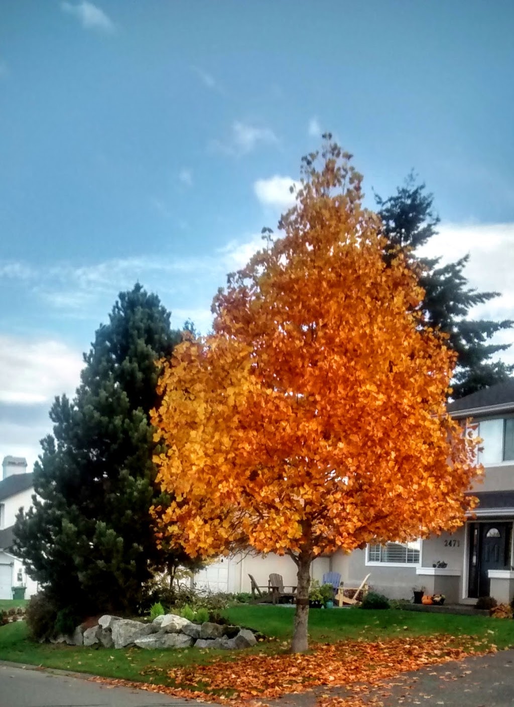 Rodolph Park | 6446 Loganberry Pl, Victoria, BC V8Z 7E6, Canada