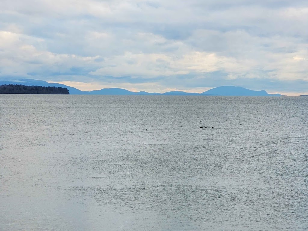 dawn Health and Wellness White Rock | 1440 George St Unit 101A, White Rock, BC V4B 4A3, Canada | Phone: (604) 385-3296
