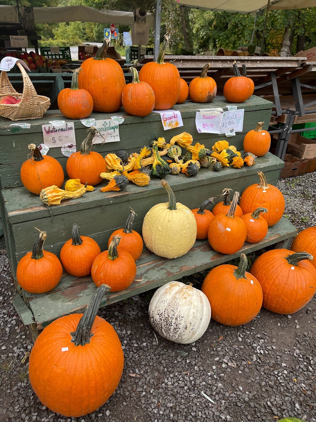 Fosterholm Farmers Market | 2102 County Road 18, Prince Edward, ON K0K 2T0, Canada | Phone: (613) 393-2085
