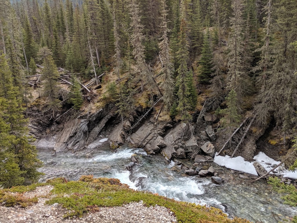 Sheep River Provincial Park - Kananaskis Country | Millarville, AB T0L 1K0, Canada | Phone: (403) 678-0760