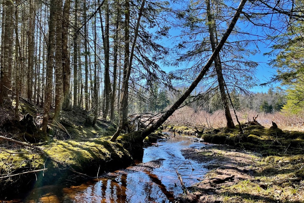 Winter River Hiking Trail | E Suffolk Extension, Prince Edward Island C1C 0A7, Canada | Phone: (902) 894-7535