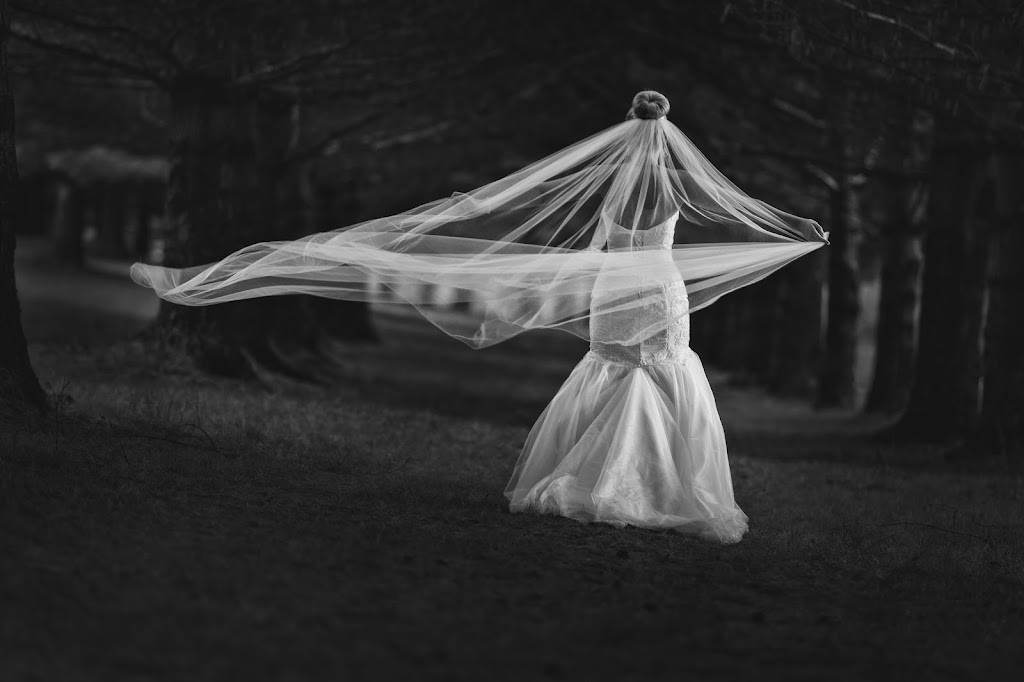 Alex MacAulay Photography | 19 Diana Dr, Hammonds Plains, NS B4B 1M4, Canada | Phone: (902) 488-4949