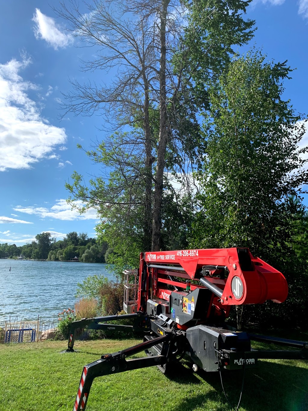 A+ Tree Service Inc. | 37 Summerhill Rd, Holland Landing, ON L9N 1C6, Canada | Phone: (416) 206-6974