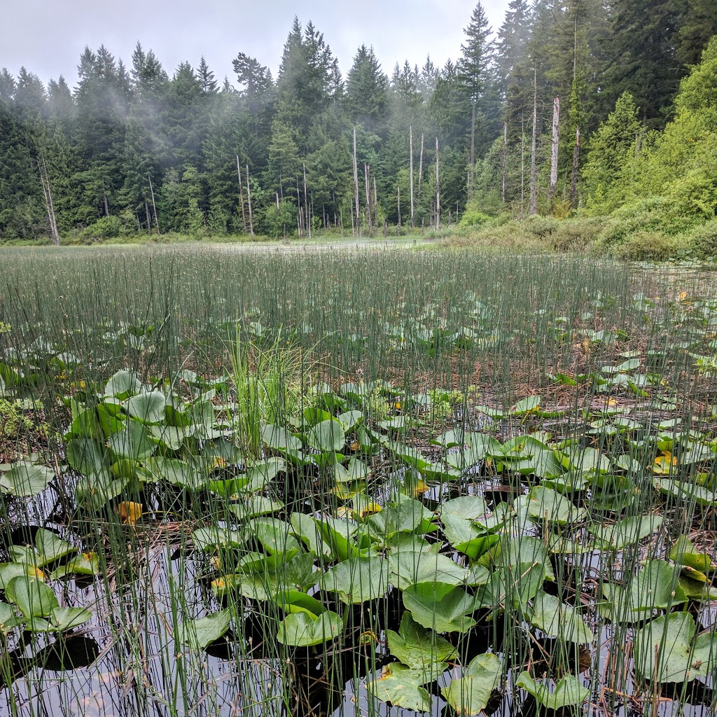 Weddles Lake Park | Chemainus, BC V0R 1K4, Canada | Phone: (250) 746-3100