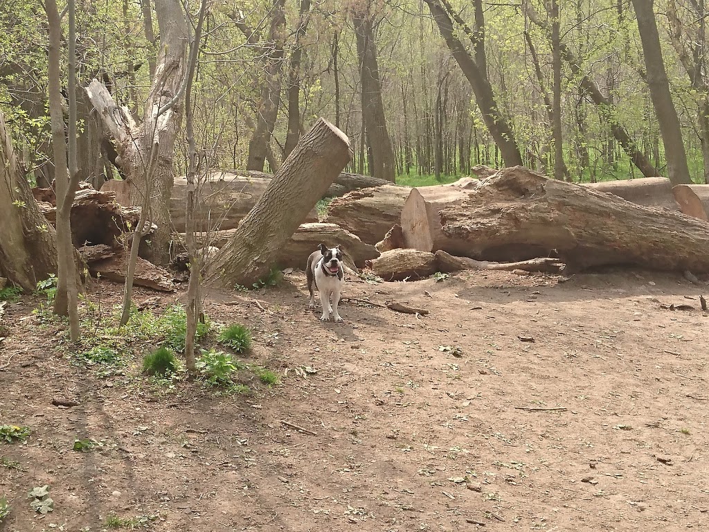 Stoney Creek Off-Leash Dog Park | 1343 Adelaide St N, London, ON N5X 1K1, Canada | Phone: (519) 661-2500 ext. 4570
