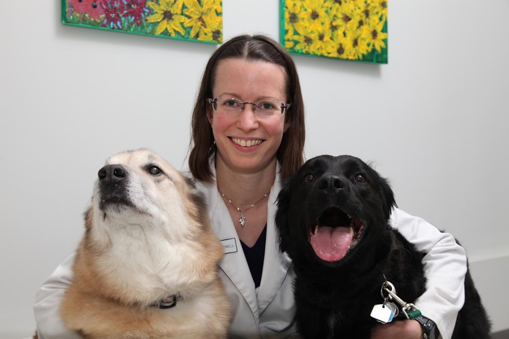 Machray Animal Hospital | 1039 McPhillips St, Winnipeg, MB R2X 2K6, Canada | Phone: (204) 586-9721