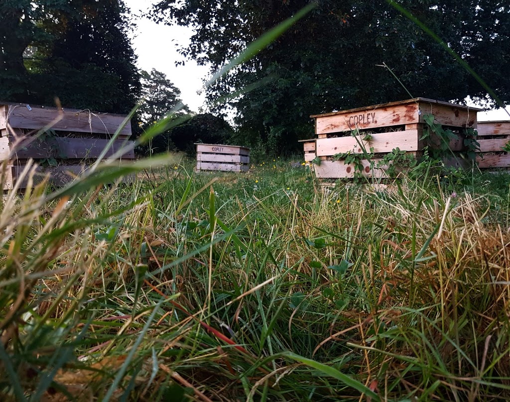 Copley Community Orchard | 3587 Copley St, Vancouver, BC V5N 5B2, Canada
