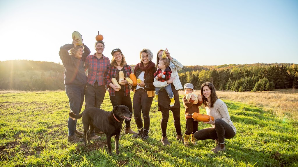 Soleils Farm | 891 S Melville Rd, Bonshaw, PE C0A 1C0, Canada | Phone: (902) 218-5240