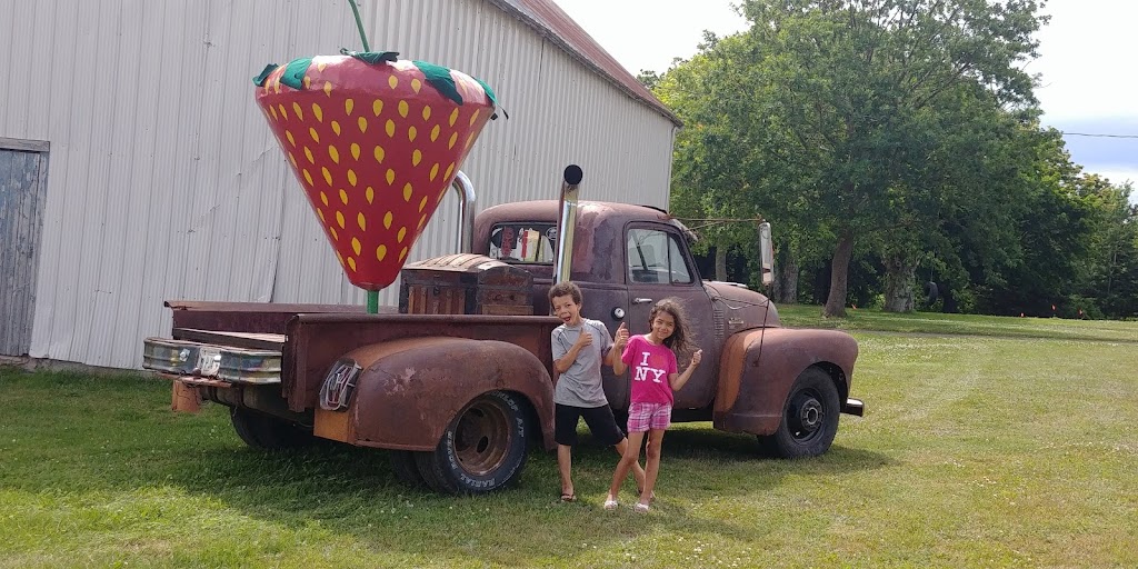 Shore Breeze Farm | 7533 PE-19, Bonshaw, PE C0A 1C0, Canada | Phone: (902) 393-2033