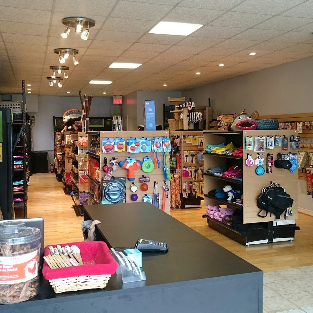 Tails - My Pet Store | 1035 Coxwell Ave, East York, ON M4C 3G4, Canada | Phone: (647) 436-2529