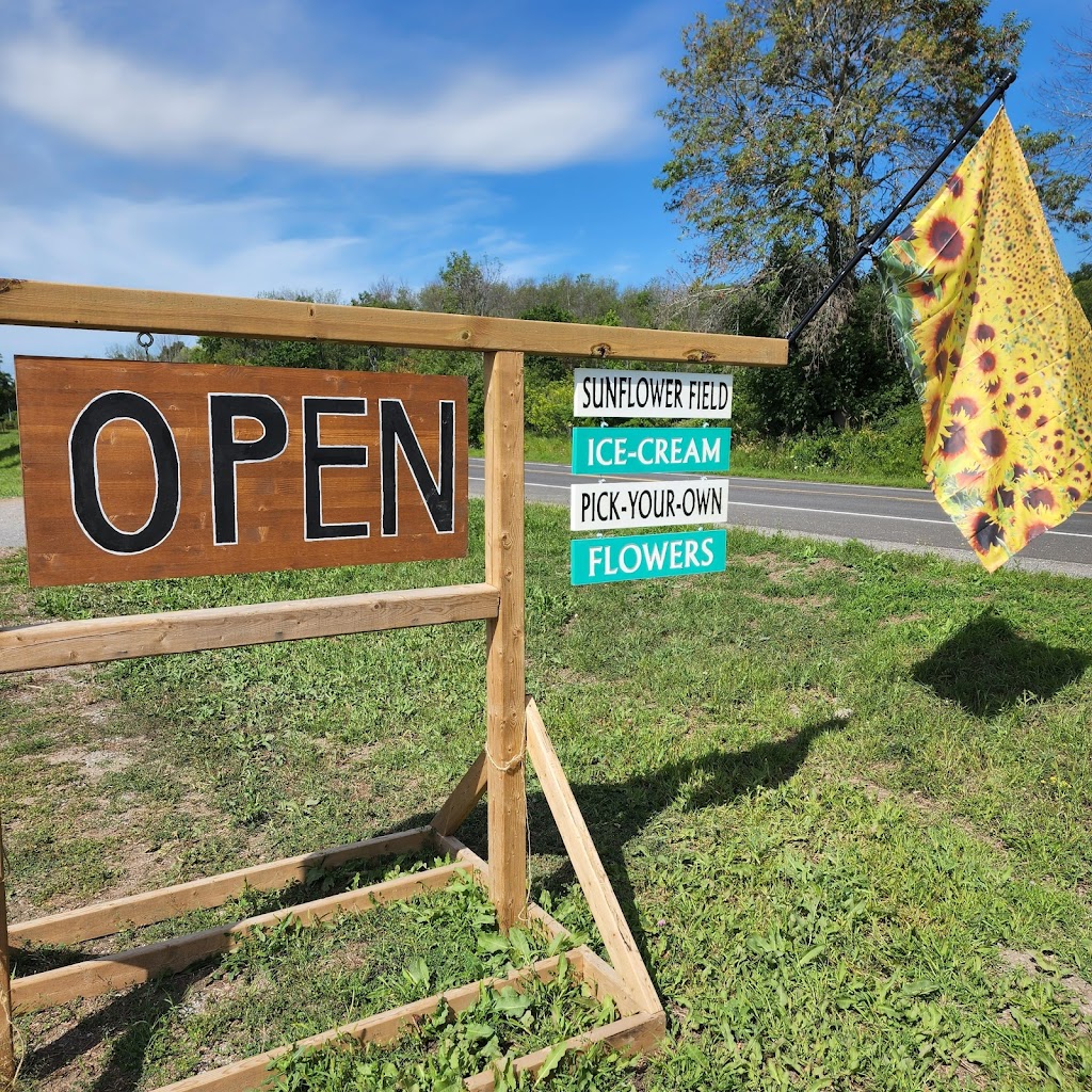Wynn Farms (Flowers and Sunflowers) | 9592 Loyalist Pkwy, Greater Napanee, ON K7R 3K7, Canada | Phone: (613) 881-0303