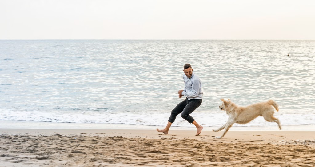 Big Bay Animal Hospital | 350 Big Bay Point Rd, Barrie, ON L4N 8A8, Canada | Phone: (705) 735-1414