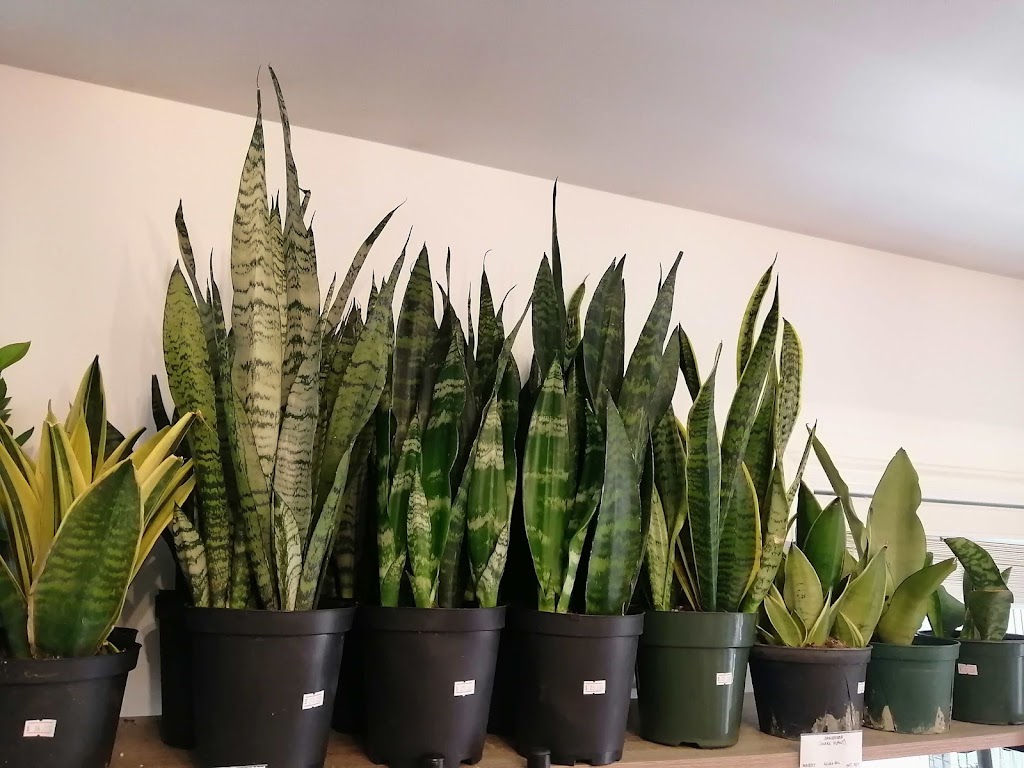 Flourish | 168 Angeline St N, Lindsay, ON K9V 4X2, Canada | Phone: (705) 324-3451