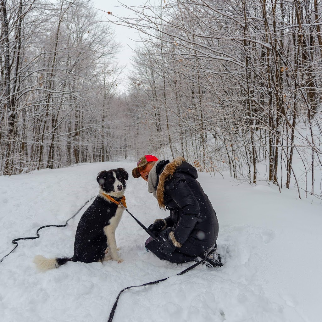 Érablière Mont-Rouge | 540 Chemin du Moulin, Rougemont, QC J0L 1M0, Canada | Phone: (450) 469-2093
