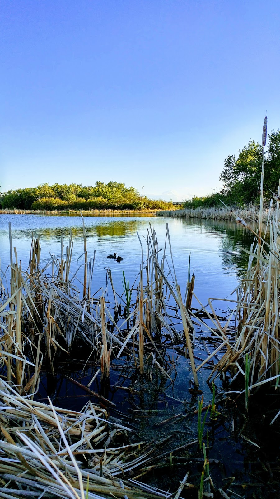 Briarwood Park | 1015 Briarwood Rd, Saskatoon, SK S7V 1K7, Canada | Phone: (306) 975-3300