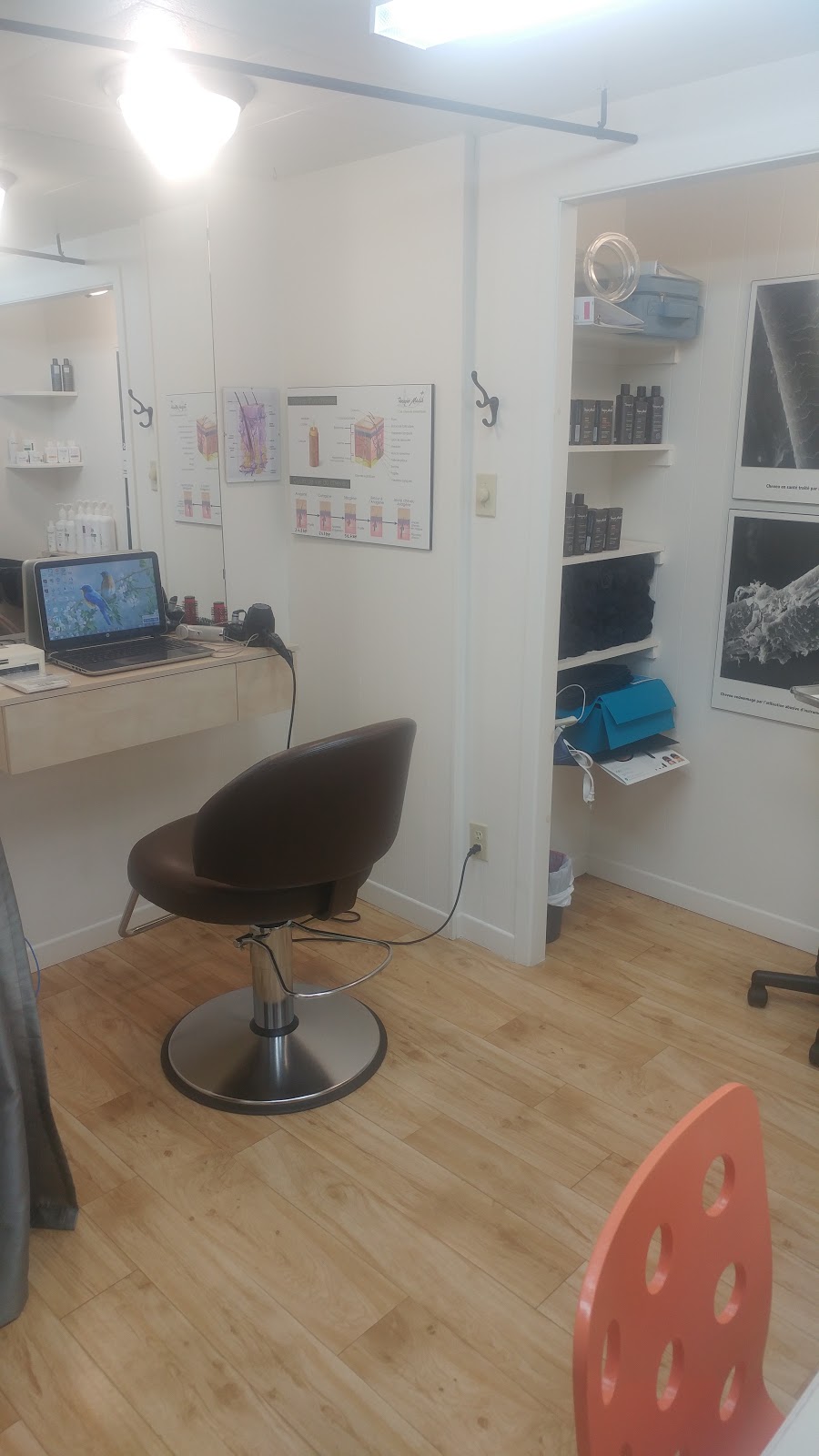 Clinique Capillaire Jeannot Larocque | 511 Rue Mercure, Mont-Tremblant, QC J8E 3H6, Canada | Phone: (819) 425-0939