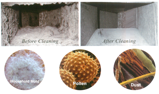 Perfect Choice Services | 6 Fairground Ln, Woodbridge, ON L4L 3B7, Canada | Phone: (647) 328-8154