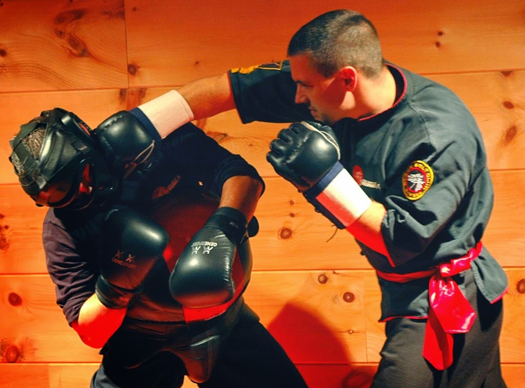 Buckingham Martial Arts Kung-Fu Patenaude | 604 Avenue de Buckingham, Gatineau, QC J8L 2H5, Canada | Phone: (819) 663-9929