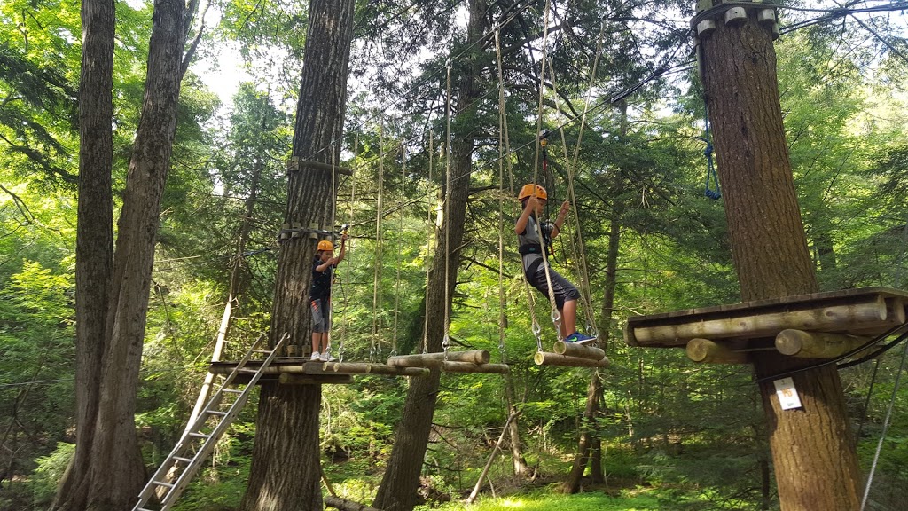 Treetop Eco-Adventure Park | 53 Snow Ridge Ct, Oshawa, ON L1H 7K4, Canada | Phone: (905) 655-1113