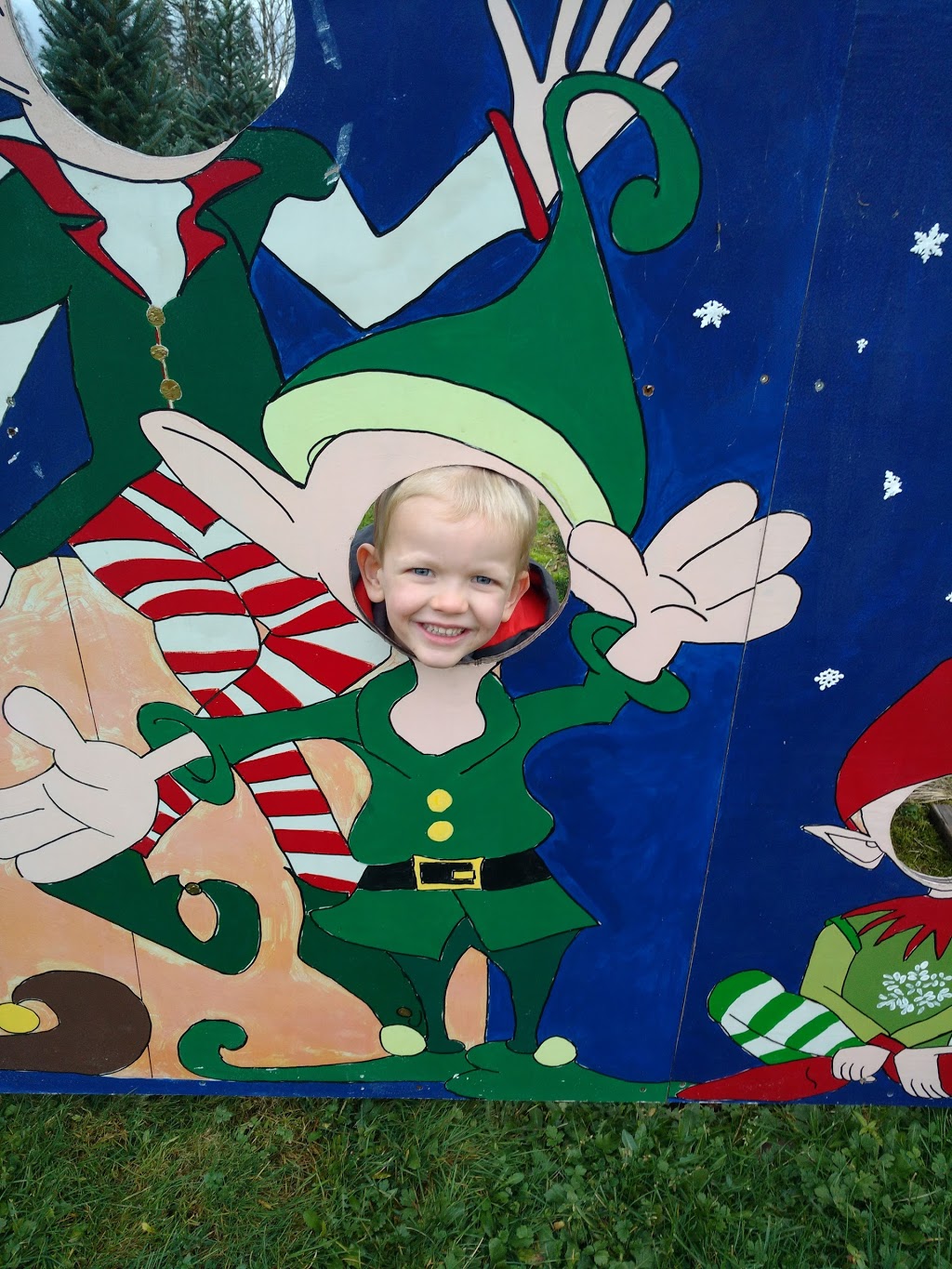 Churchland Christmas Tree Farm | 4726 248 St, Aldergrove, BC V4W 1B6, Canada | Phone: (604) 996-1046