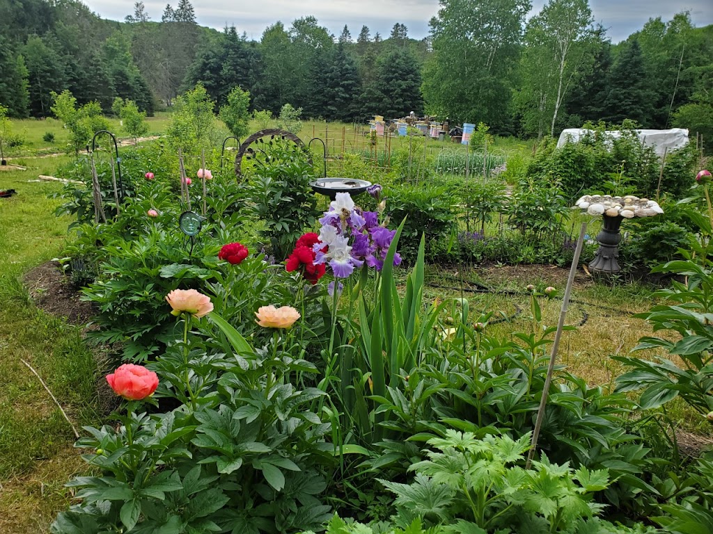 Honey Bee Harmony | Town of, Huntsville, ON P1H 2J4, Canada | Phone: (705) 388-1421