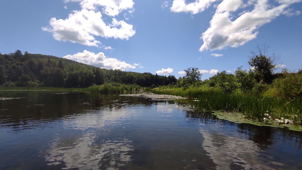 Camping Sauvage Céraro | 76 Chemin des Défricheurs, La Minerve, QC J0T 1S0, Canada | Phone: (819) 274-2314